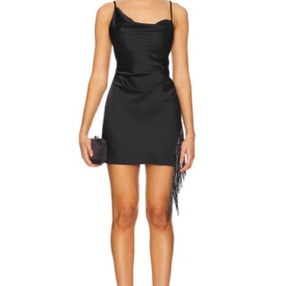 NWT* Revolve significant other fringe dress